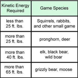 Kinetic energy requirements for hunting wild game in North America.