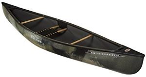 The Old Town Discovery 119, a cheap and popular solo canoe.