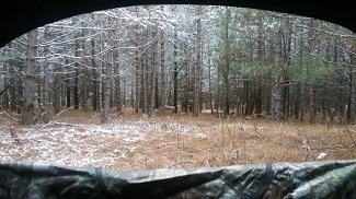 View from my blind looking west. You can barely see my deer decoy twenty five yards away in the center of the picture.