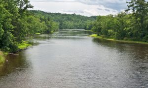 Image taken is a middle section of the St Croix Scenic Riverway.